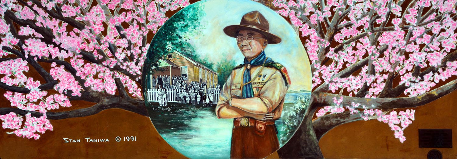 Scout surrounded by blooming cherry blossoms.