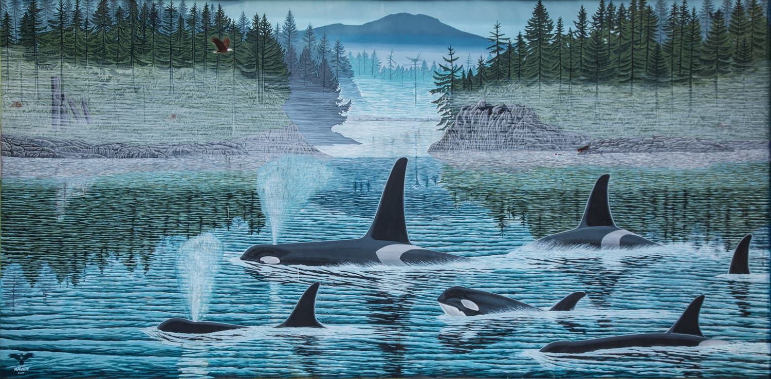 Orcas swimming in serene waters