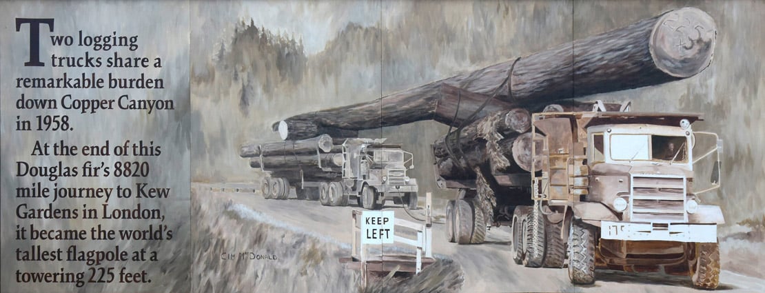 Logging trucks transporting massive logs